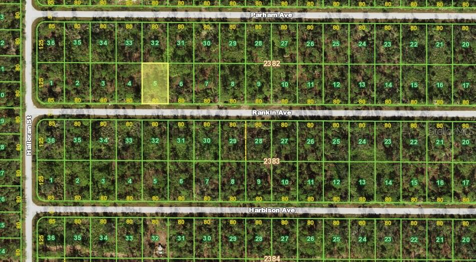 This is a map showing a grid of undeveloped residential lots with street names — 13092 RANKIN AVENUE, PORT CHARLOTTE, FL