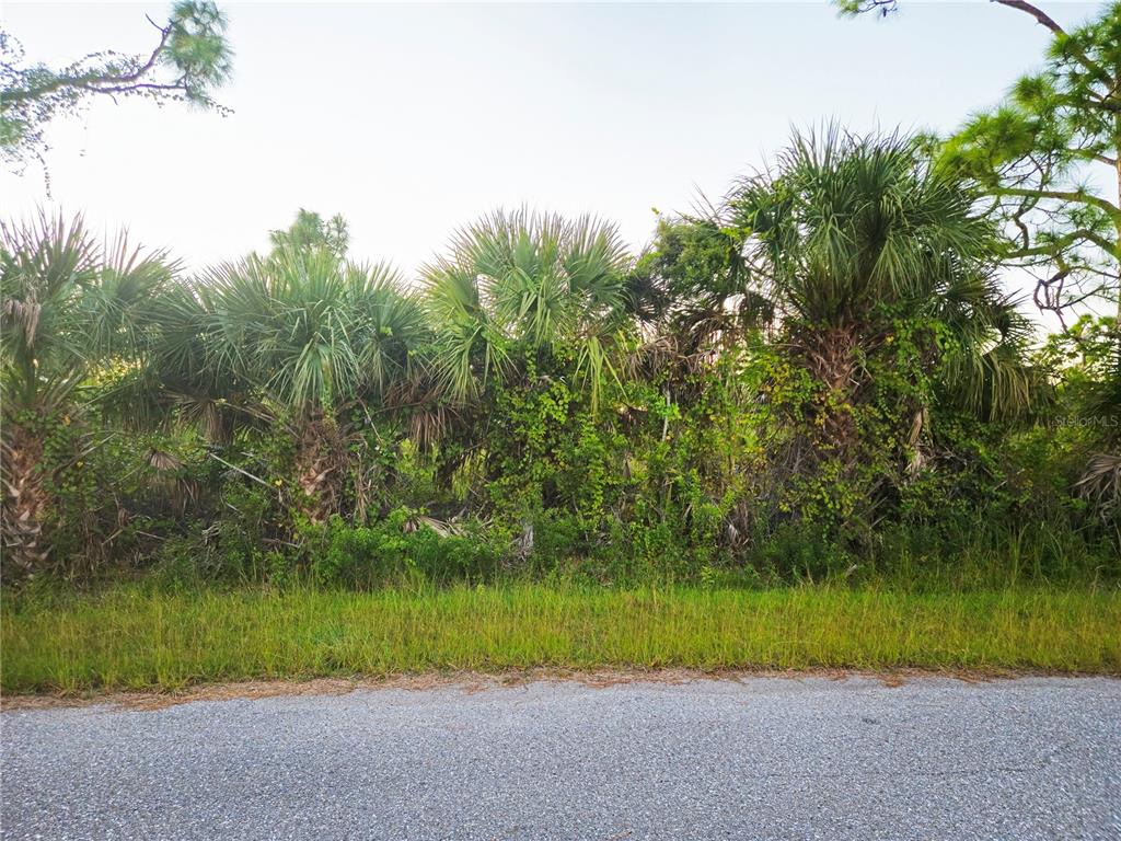 A gravel road runs in front of a dense thicket of palm trees and vegetation — 8297 DIMSTEAD STREET, PORT CHARLOTTE, FL
