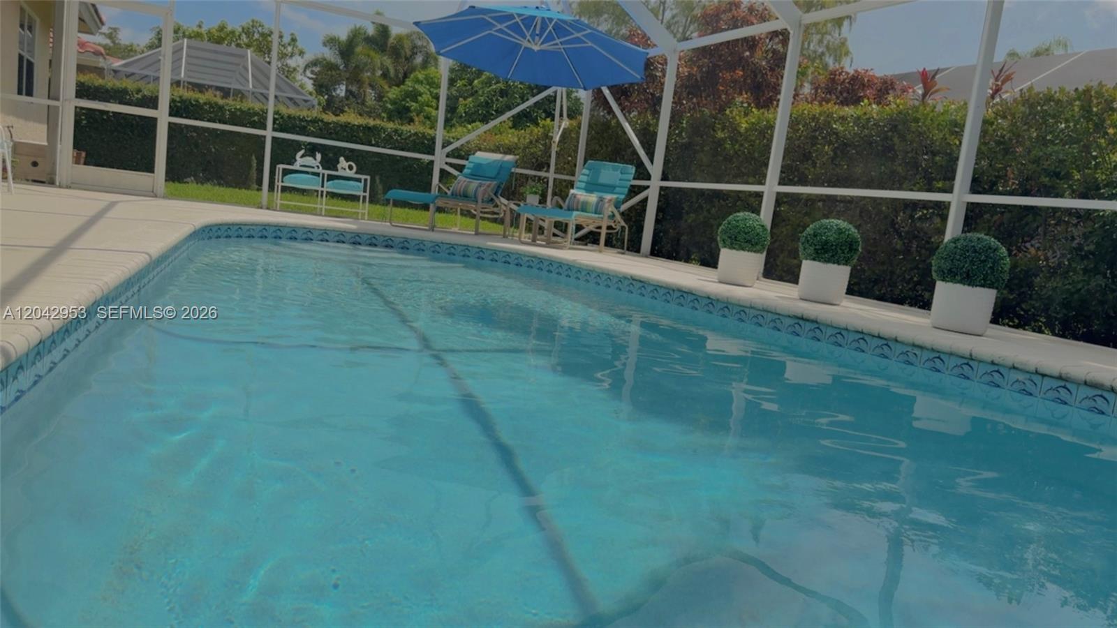 A swimming pool with a screened enclosure, lounge chairs, and an umbrella on the patio — 165 Cypress Trce, Royal Palm Beach FL 33411, ROYAL PALM BEACH, FL