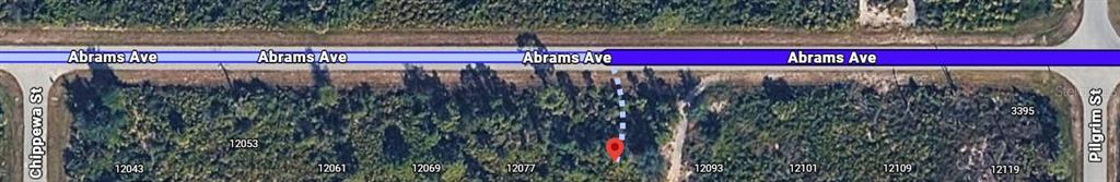 This is a satellite map view showing a vacant wooded lot along a paved road — 12085 ABRAMS AVENUE, PORT CHARLOTTE, FL