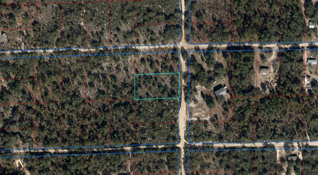 NE 100TH AVENUE, BRONSON, FL — photo 2 of 3