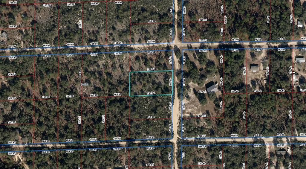 NE 100TH AVENUE, BRONSON, FL — photo 3 of 3