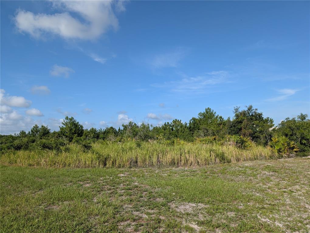 A grassy, undeveloped lot features a dense line of trees and shrubs under a blue sky — 7 POINCIANA DRIVE, INDIAN LAKE ESTATES, FL