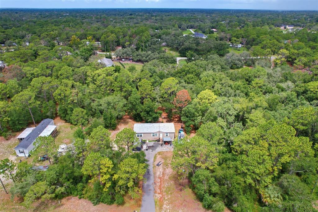An aerial view shows a house and a smaller structure surrounded by dense woods — 17721 DRAYTON STREET, SPRING HILL, FL