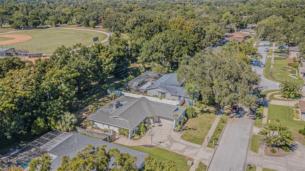 565 SANDY HOOK ROAD, PALM HARBOR, FL — photo 4 of 30