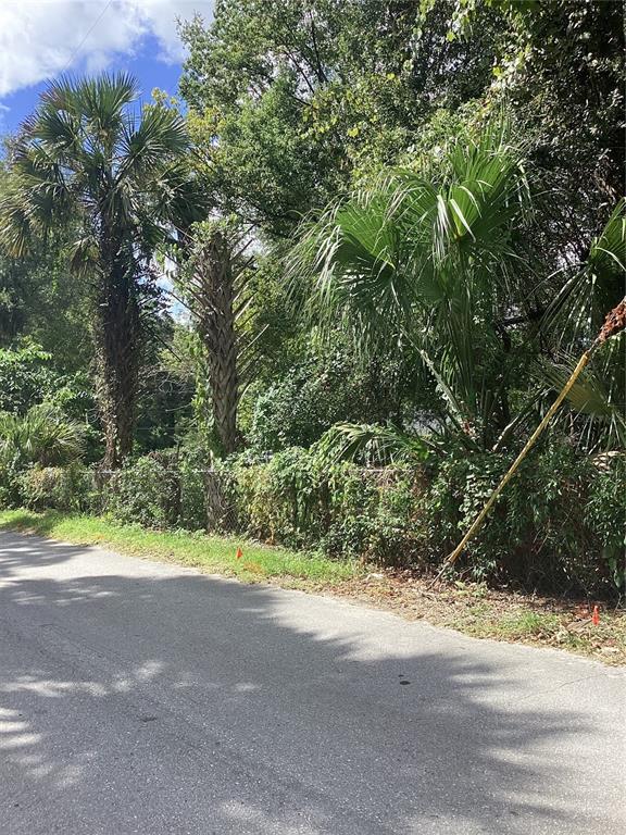 A paved road runs alongside a chain-link fence bordered by palm trees and dense vegetation — 0 NW 9TH STREET, OCALA, FL