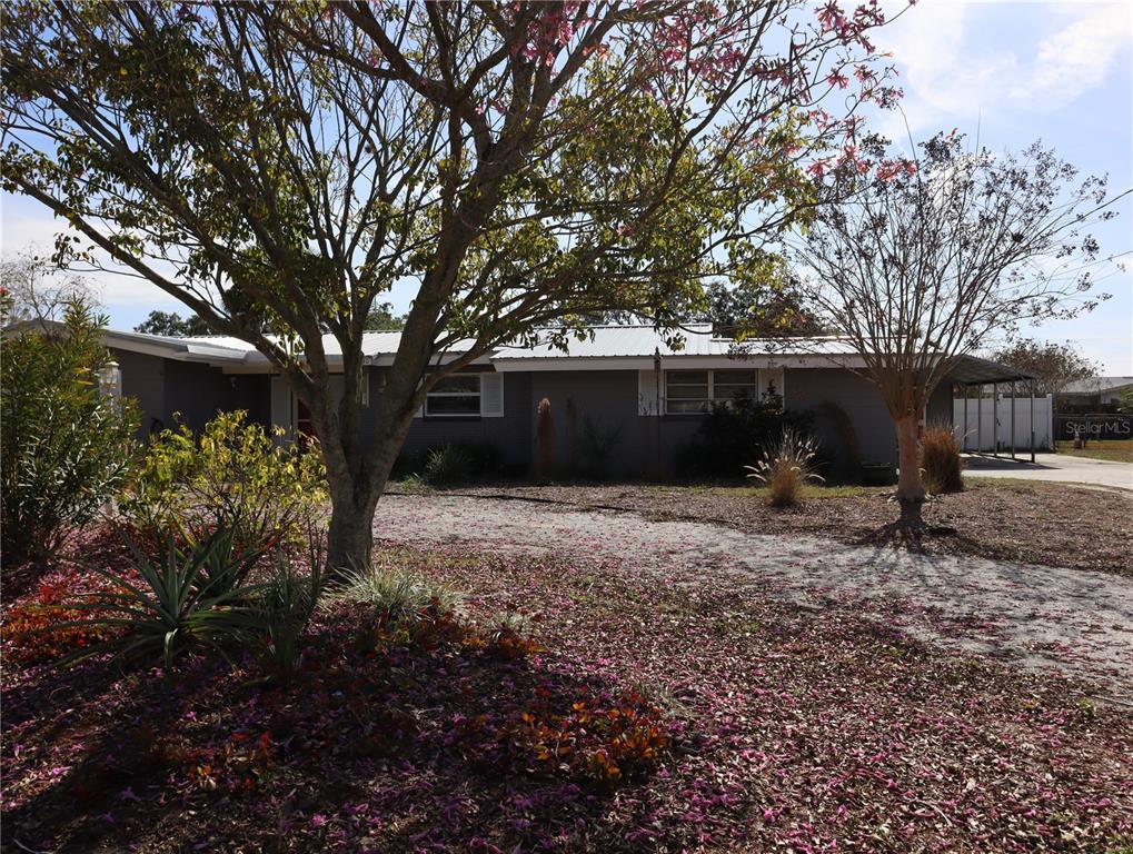 A single-story gray house with a metal roof sits behind a large flowering tree — 940 OLEANDER DRIVE SE, WINTER HAVEN, FL