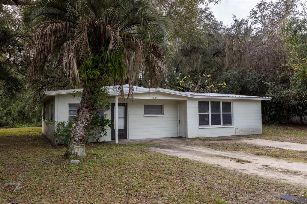 A single-story house with white siding and a palm tree stands on a grassy lot — 1503 SE 28TH PLACE, GAINESVILLE, FL
