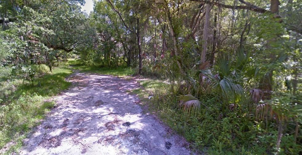 A dirt path winds through a wooded area with dense trees and palmetto plants — 00 S BAILEY AVENUE, BROOKSVILLE, FL