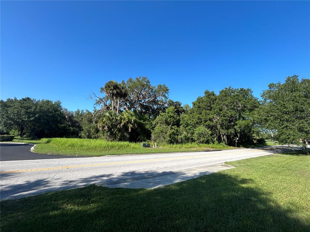 A paved road curves past a grassy lot with dense trees and vegetation — 1881 SE 30TH AVENUE, OCALA, FL