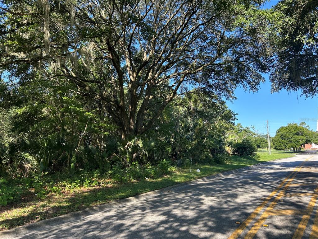 A paved road runs alongside a wooded lot with large trees and dense undergrowth — 1881 SE 30TH AVENUE, OCALA, FL