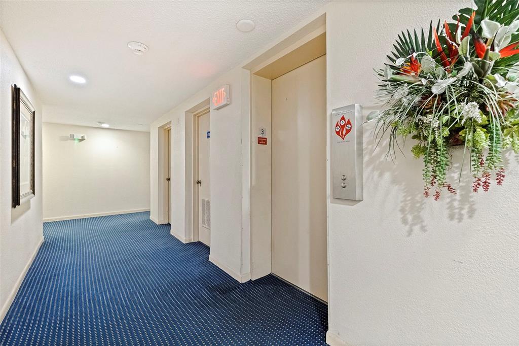 A hallway with blue carpet, an elevator, and a decorative floral arrangement on the wall — 6145 SUN BOULEVARD UNIT 304, ST PETERSBURG, FL