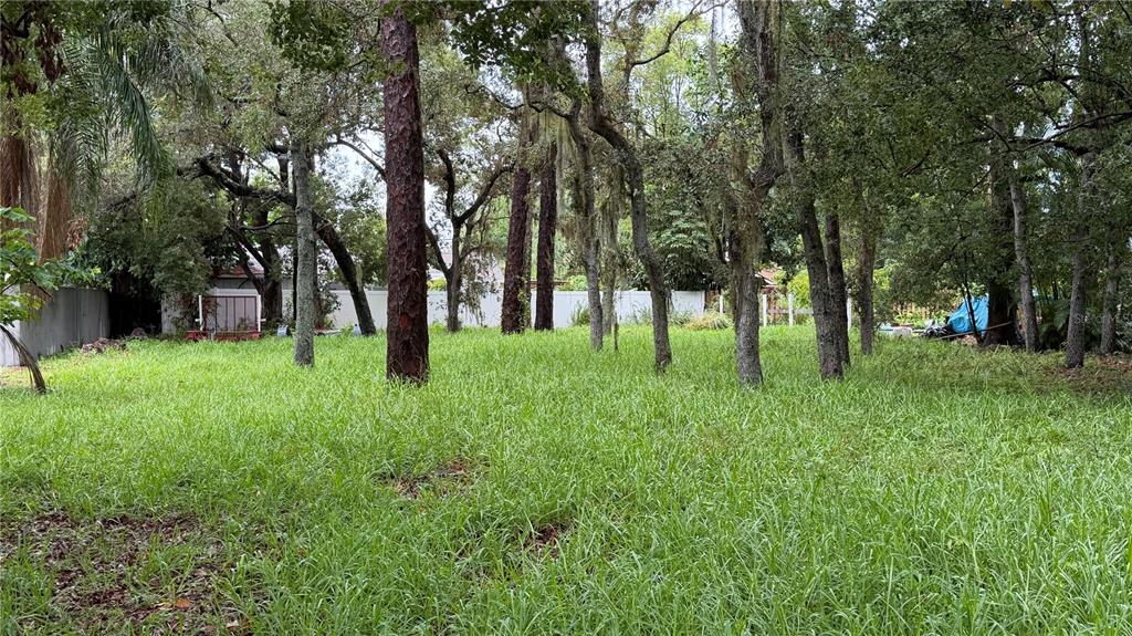 TALLAHASSEE DRIVE