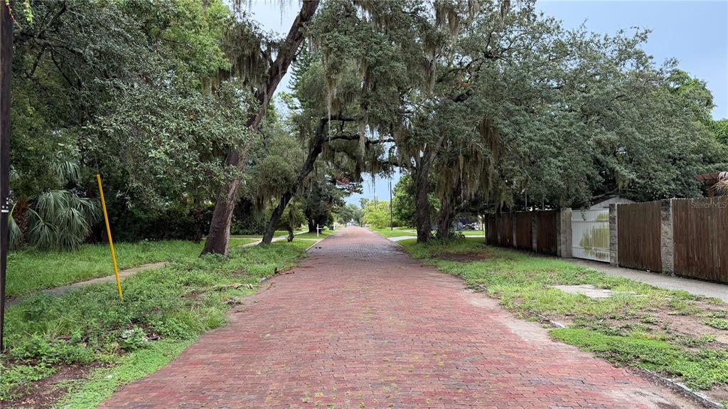 A brick-paved street is lined with large, moss-draped oak trees and a wooden fence — TALLAHASSEE DRIVE, TARPON SPRINGS, FL