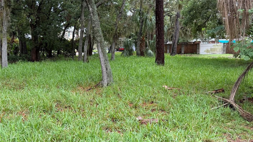 A grassy, wooded residential lot with several trees and a wooden fence in the background — TALLAHASSEE DRIVE, TARPON SPRINGS, FL