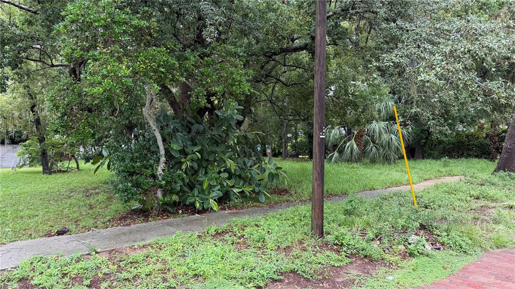 A vacant, grassy lot features mature trees, a sidewalk, and a utility pole — TALLAHASSEE DRIVE, TARPON SPRINGS, FL