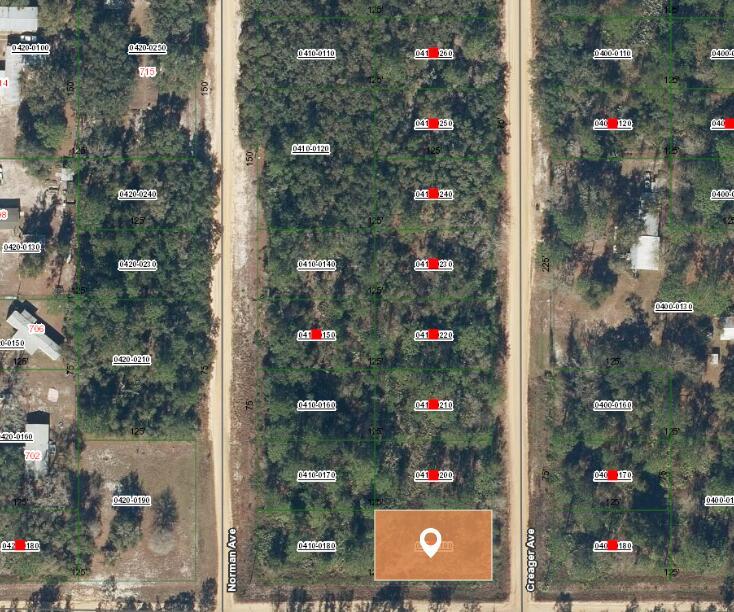 This is a satellite map view showing a highlighted rectangular plot of land — 000 Creager Avenue, FL 32148, FL