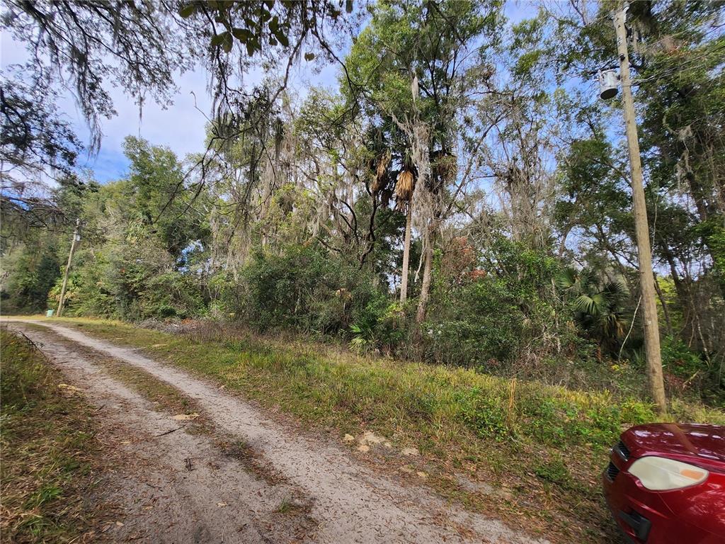 TBD NE 164TH PLACE, CITRA, FL — photo 2 of 6