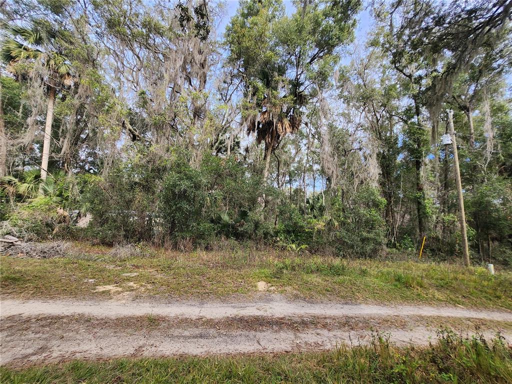 TBD NE 164TH PLACE, CITRA, FL — photo 3 of 6