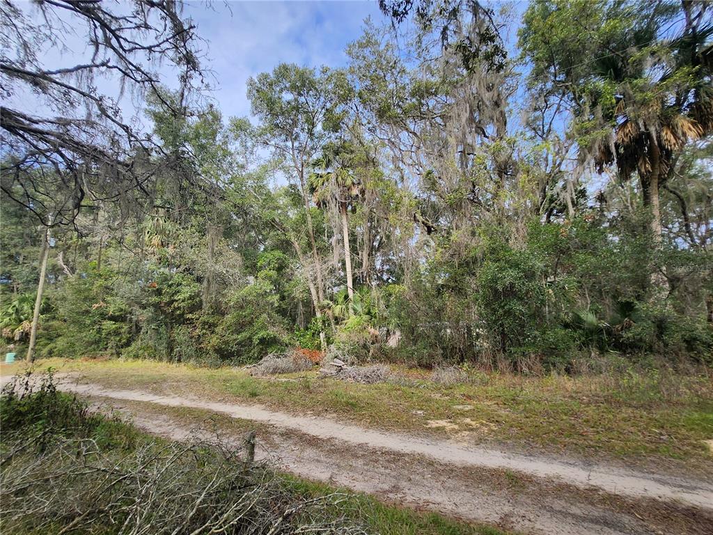 TBD NE 164TH PLACE, CITRA, FL — photo 4 of 6