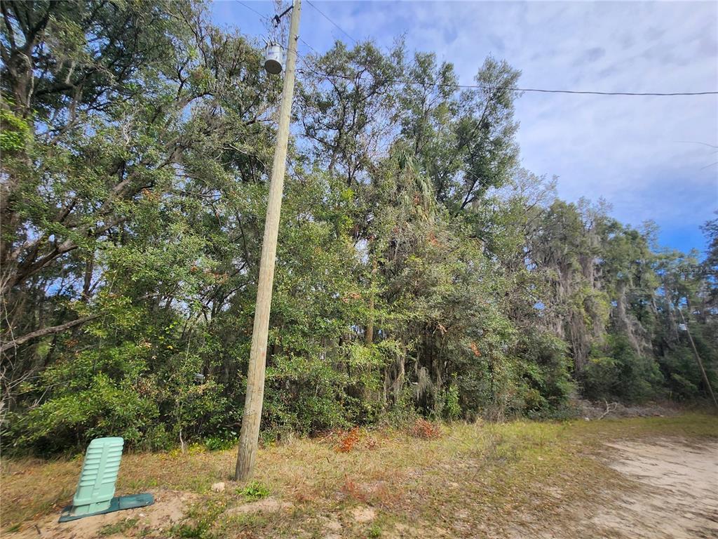 TBD NE 164TH PLACE, CITRA, FL — photo 5 of 6