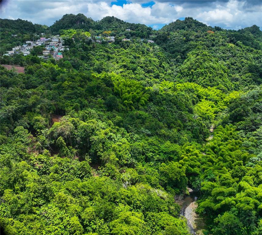 An aerial view shows a lush, forested mountain landscape with a small residential community above — SR 146 Km. 19.4 Interior BO CORDILLERA, CIALES, PR
