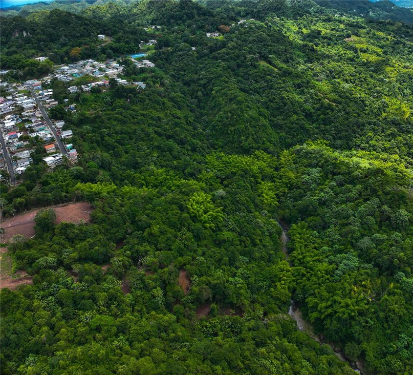 An aerial view shows a lush, forested hillside adjacent to a residential neighborhood and stream — SR 146 Km. 19.4 Interior BO CORDILLERA, CIALES, PR