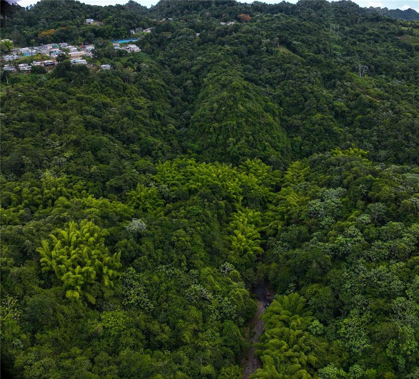 An aerial view shows a lush, forested valley with a small stream and distant houses — SR 146 Km. 19.4 Interior BO CORDILLERA, CIALES, PR