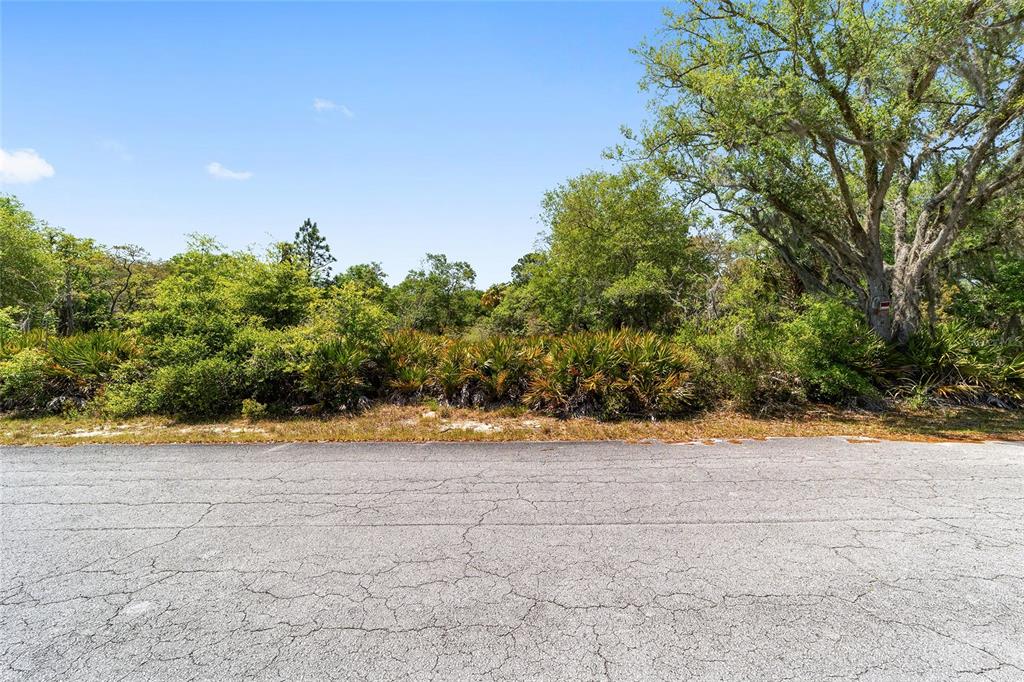 12577 W ROSEMARY PLACE
