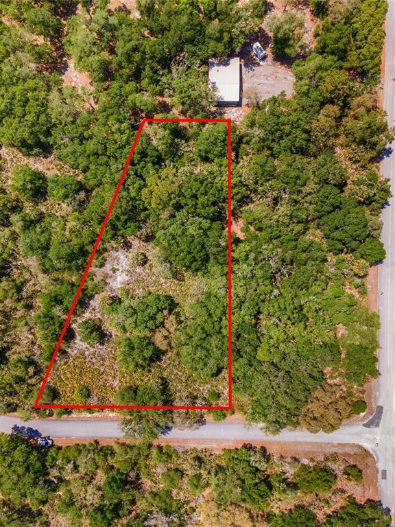 An aerial view shows a wooded lot outlined in red next to a paved road — 12577 W ROSEMARY PLACE, CRYSTAL RIVER, FL