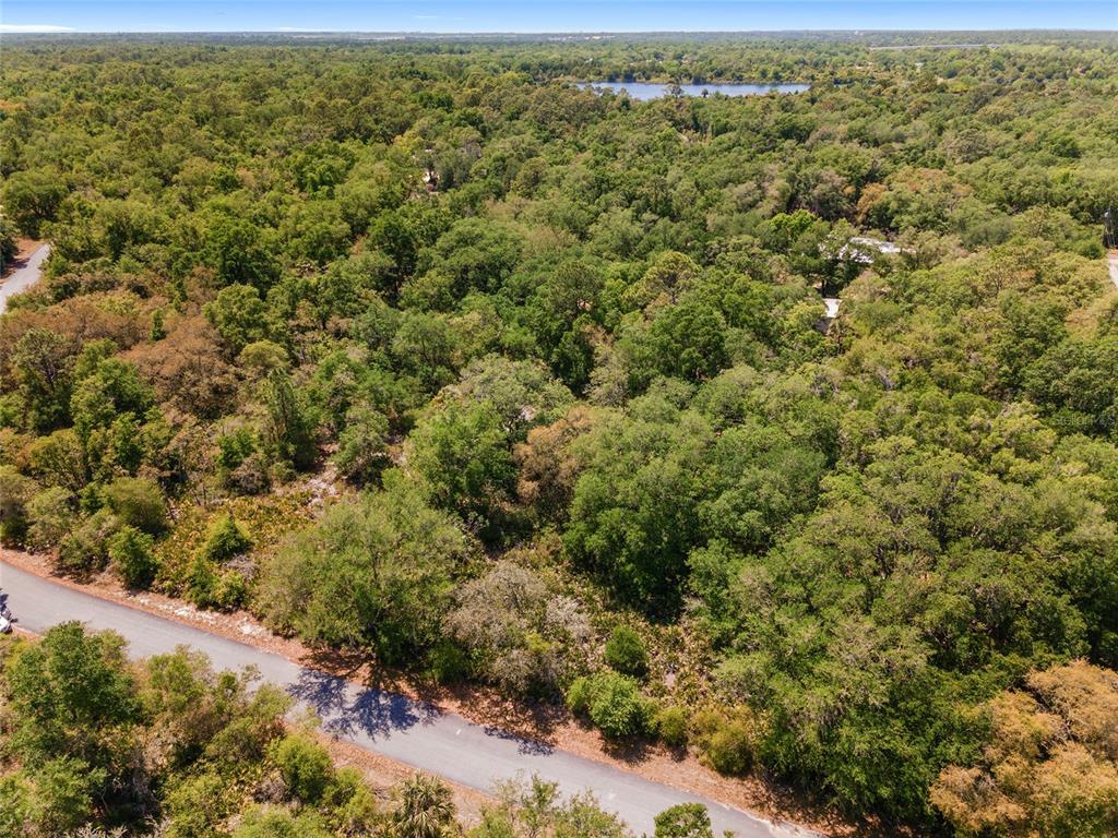 An aerial view shows a paved road bordering a dense, wooded lot with a distant lake — 12577 W ROSEMARY PLACE, CRYSTAL RIVER, FL