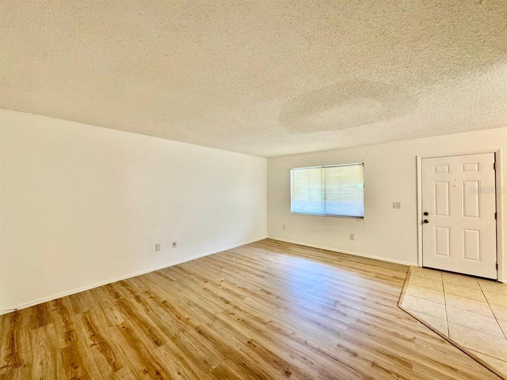 An empty living room features light wood-look flooring, white walls, and a white front door — 11703 RAINTREE VILLAGE BOULEVARD UNIT C, TAMPA, FL