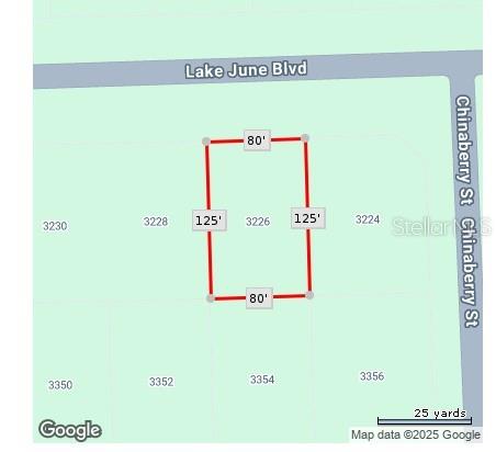 This map shows the rectangular property boundaries and dimensions of a vacant lot — 3226 LAKE JUNE BOULEVARD, LAKE PLACID, FL