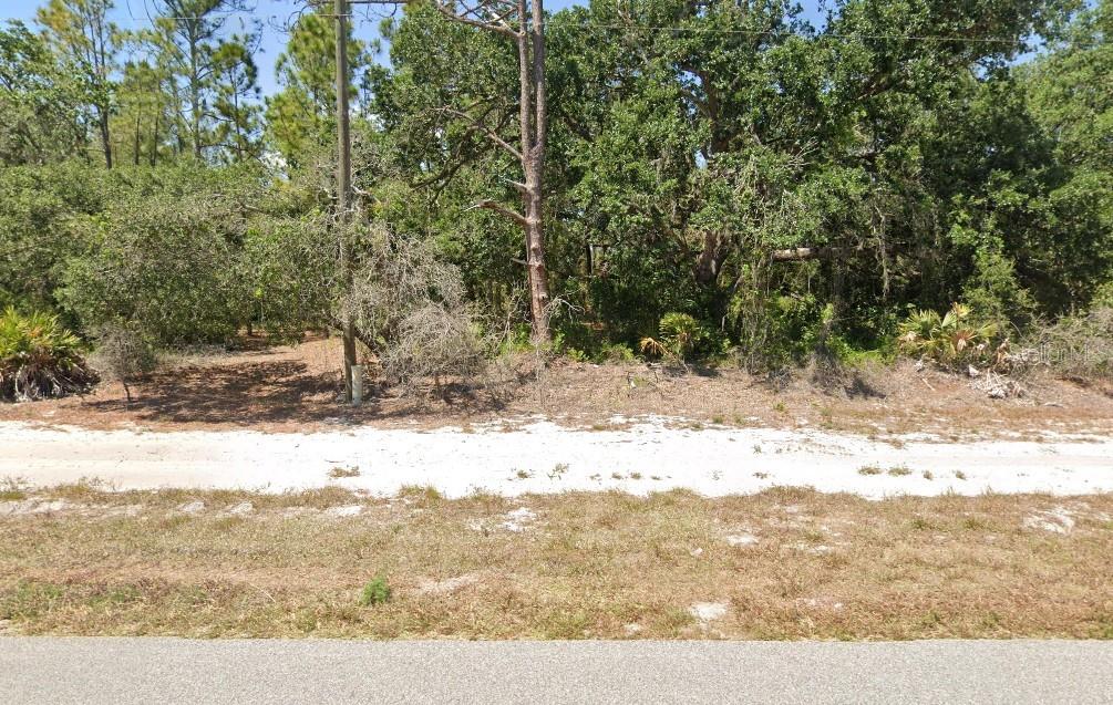 A vacant, wooded lot with sandy ground sits behind a paved road — 3226 LAKE JUNE BOULEVARD, LAKE PLACID, FL