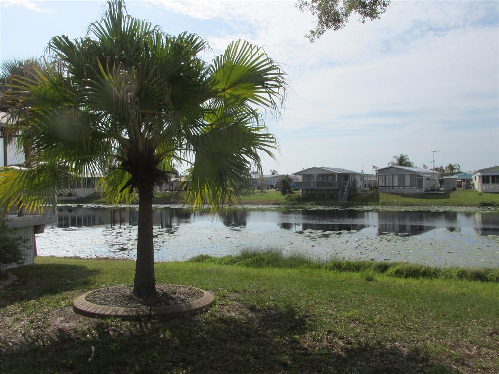 A palm tree stands in a grassy yard overlooking a pond with houses beyond — 15 RED QUILL CIRCLE, LAKE WALES, FL