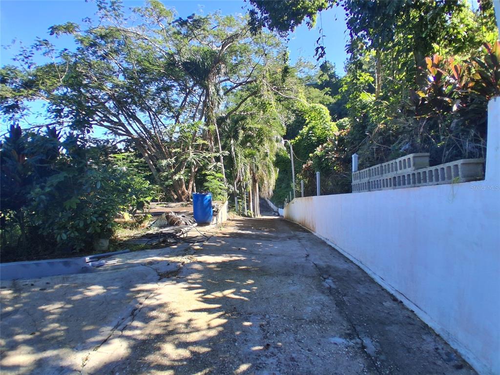 A concrete driveway leads toward a wooded hillside beside a white retaining wall — 842 km 8.3 CAIMITO ALTO ST,SECTOR CAMINO PABLO DIAZ, SAN JUAN, PR