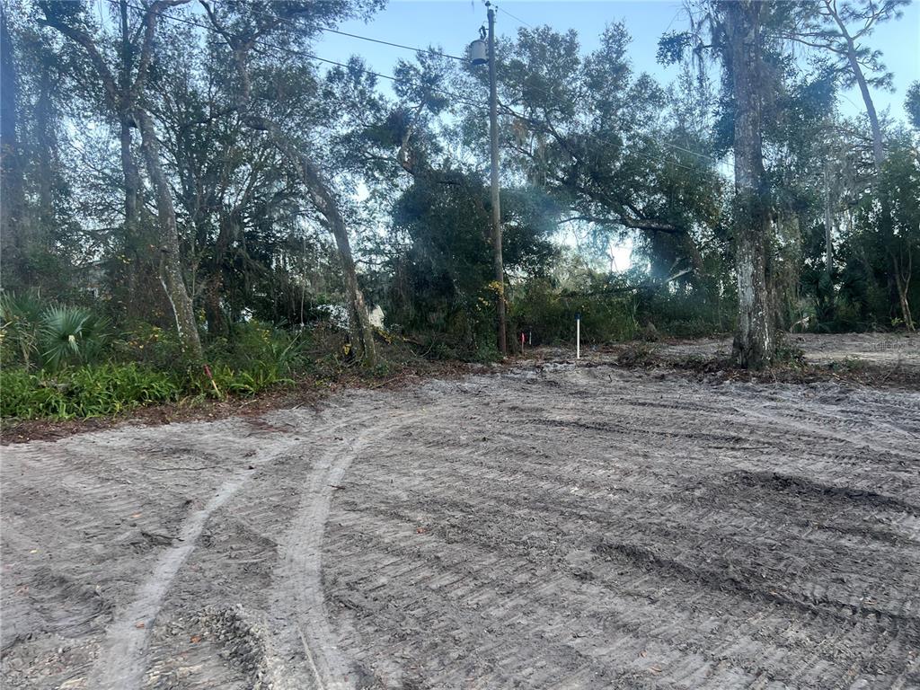 A cleared, sandy residential lot features tire tracks, mature trees, and a utility pole — 436 HUNTINGTON SHORTCUT ROAD, POMONA PARK, FL