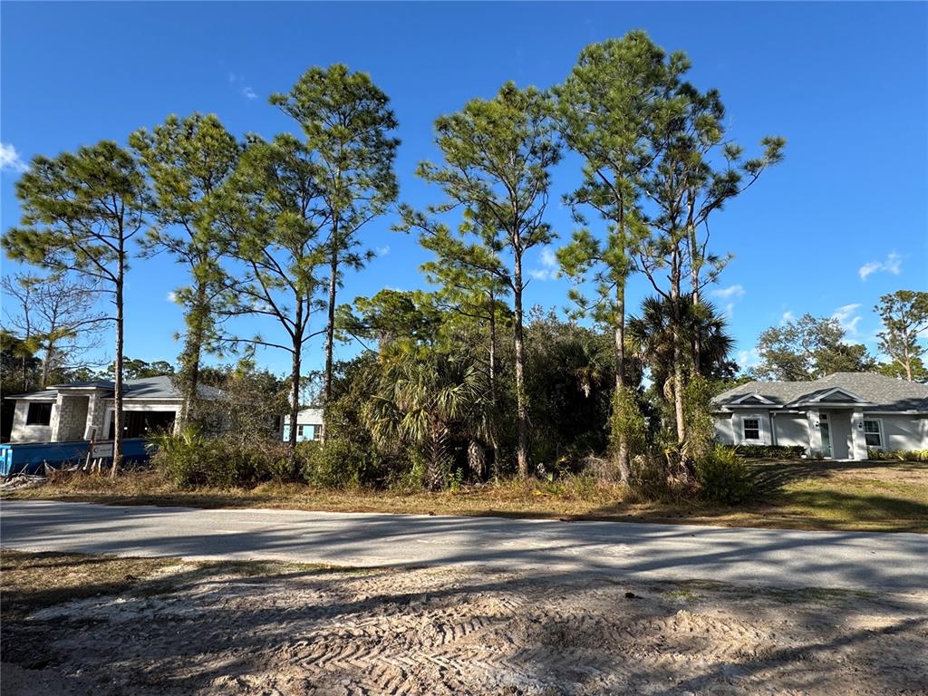 A vacant lot with tall pine trees sits between two suburban houses under a blue sky — Lot 28 SWISS AVENUE, NORTH PORT, FL