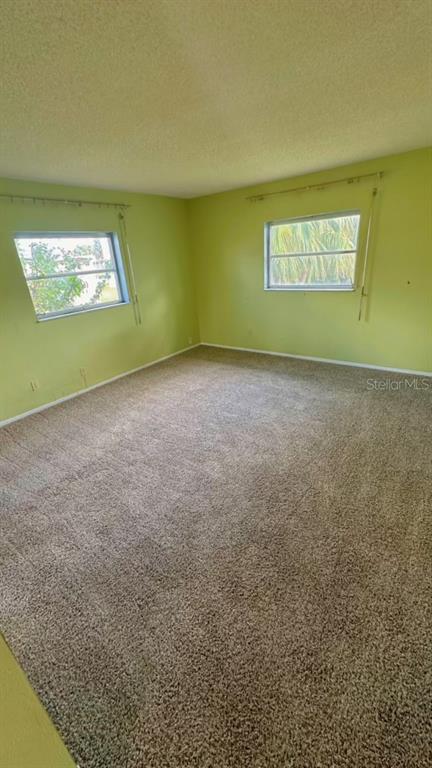 An empty bedroom with light green walls, beige carpet, and two windows — 9102 NW 81ST COURT, TAMARAC, FL