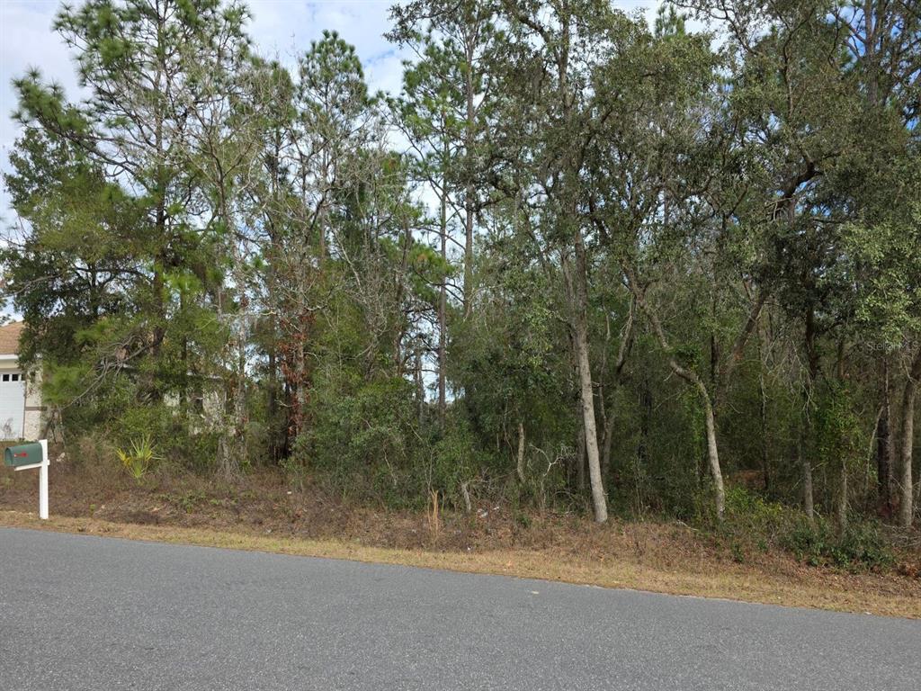 A wooded, undeveloped residential lot sits next to a house along a paved road — SW 140TH COURT, OCALA, FL