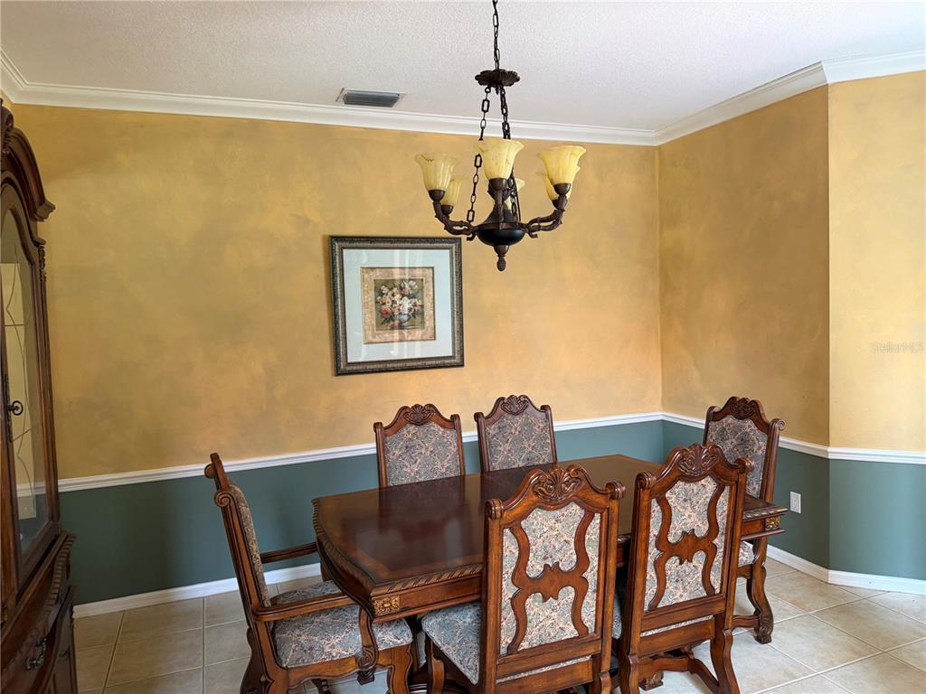 A dining room features a wooden table, patterned chairs, a chandelier, and two-toned walls — 18826 AVENUE BIARRITZ, LUTZ, FL