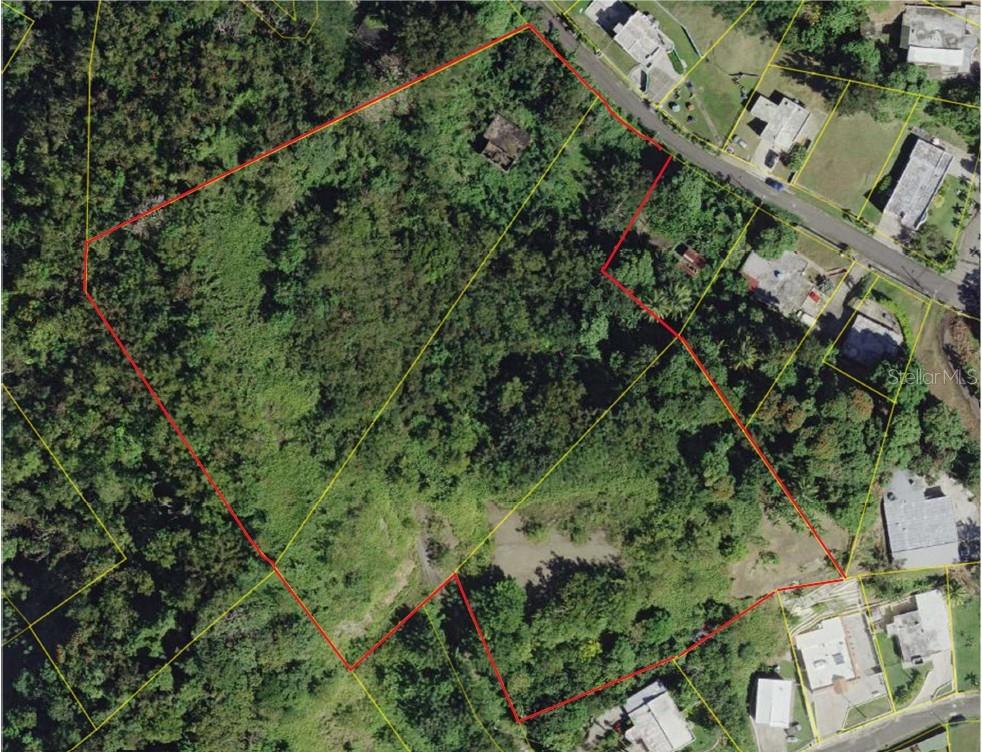 An aerial view shows a large, irregularly shaped plot of land with dense vegetation — MABO, HUMACAO, PR