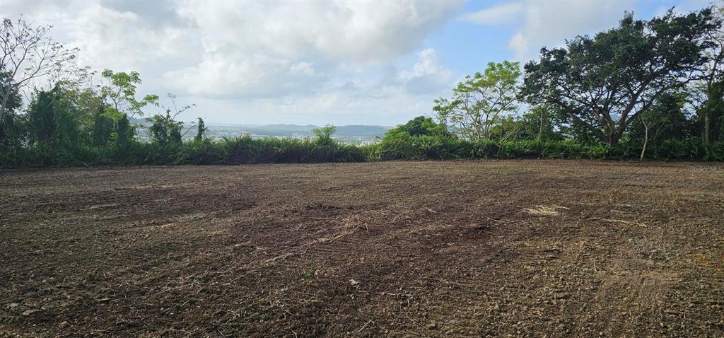 A wide, cleared dirt lot overlooks a distant valley under a cloudy sky — MABO, HUMACAO, PR