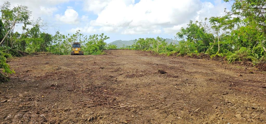 A yellow bulldozer sits on a cleared, dirt-covered lot surrounded by trees and hills — MABO, HUMACAO, PR