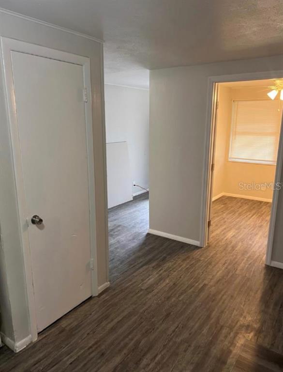A hallway with wood-look flooring leads to two rooms, one with a closed white door — 8123 N ALASKA STREET UNIT A, TAMPA, FL