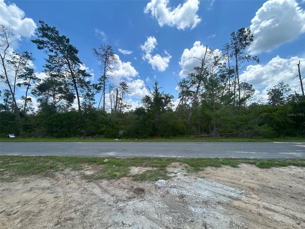 A paved road runs in front of a wooded lot under a blue sky — 8191 N FEATHER AVENUE, CITRUS SPRINGS, FL