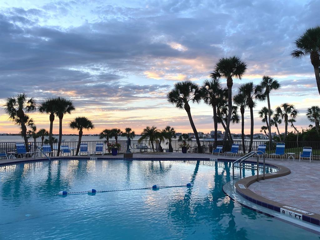 A swimming pool with lounge chairs overlooks a sunset view of the water and palm trees — 100 BLUFF VIEW DRIVE UNIT 317A, BELLEAIR BLUFFS, FL