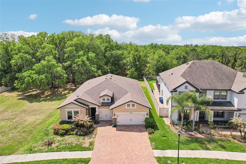 An aerial view shows a single-story house with a brick driveway and a wooded backyard — 19246 BRIARBROOK DRIVE, TAMPA, FL