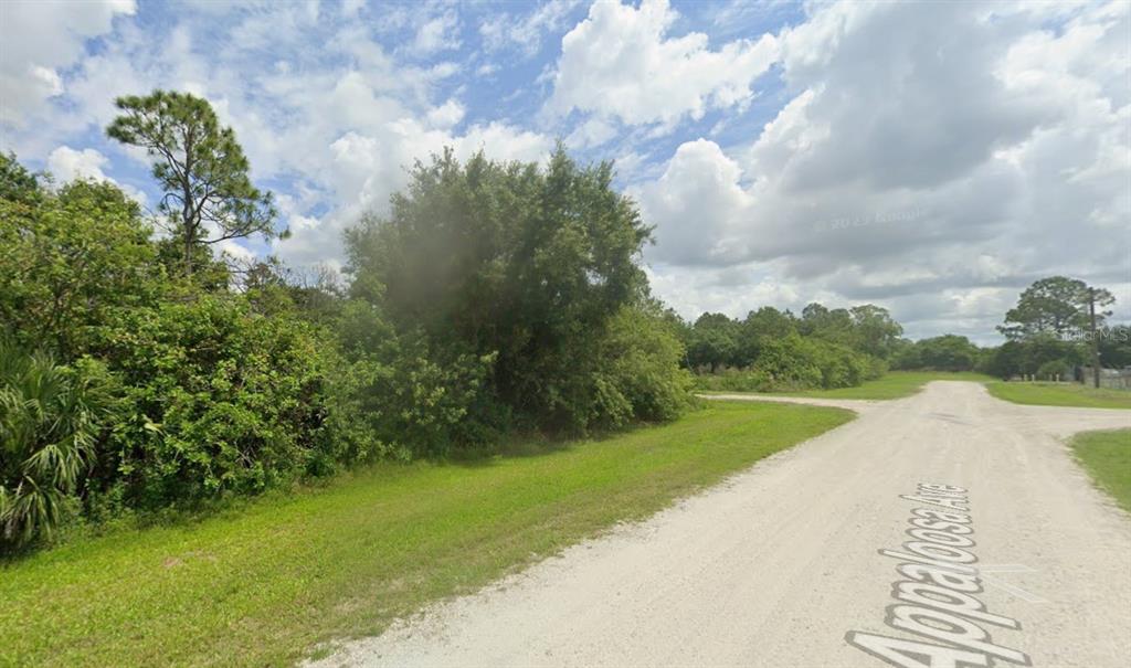 A dirt road leads past a grassy, tree-lined vacant lot under a cloudy sky — 869 APPALOOSA AVENUE, CLEWISTON, FL