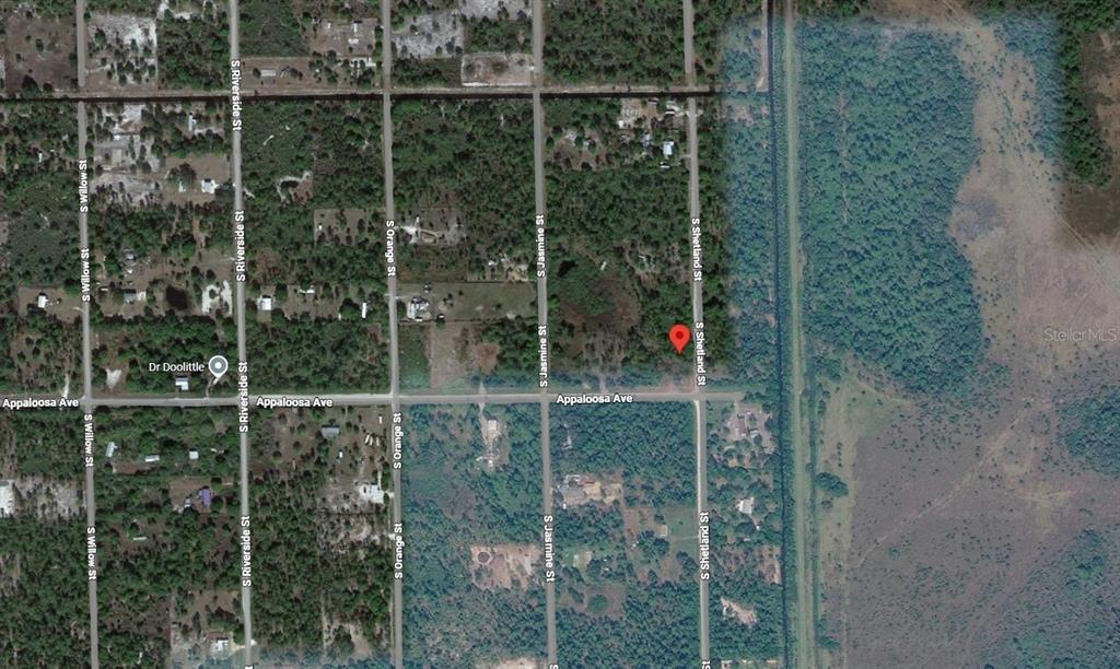 This is a satellite map view showing a red pin marking a vacant land parcel — 869 APPALOOSA AVENUE, CLEWISTON, FL